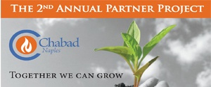 Annual Partner Project